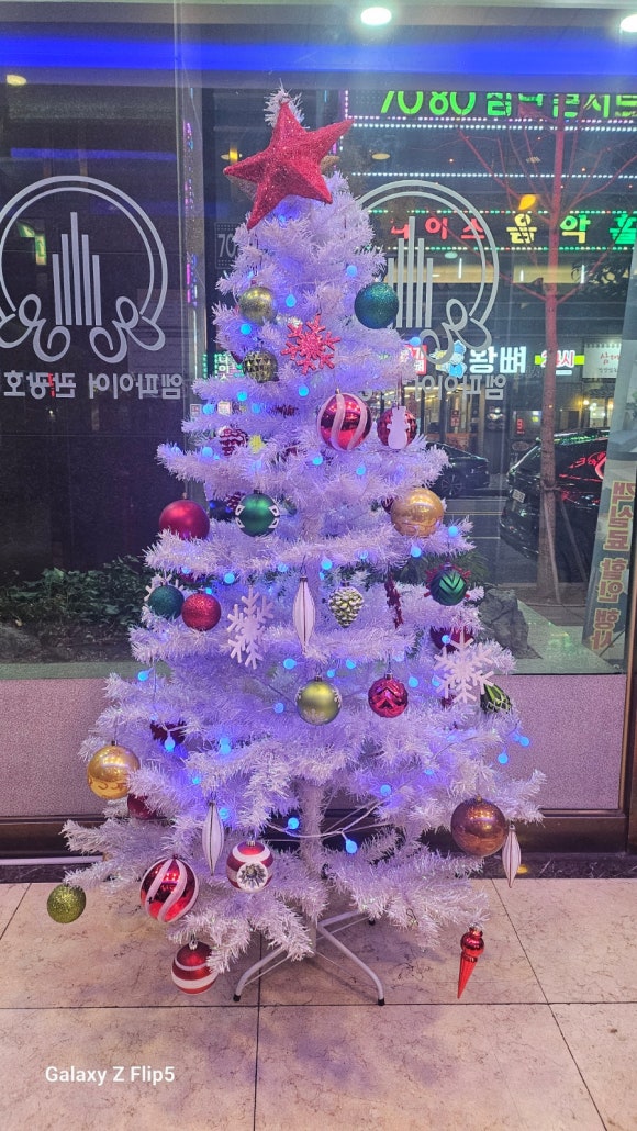 해미일식 이미지