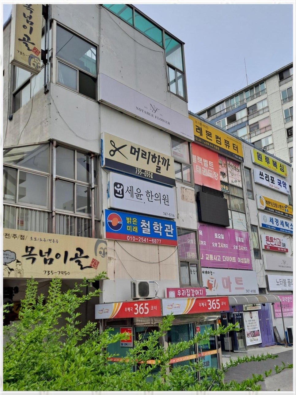 밝은미래주 이미지