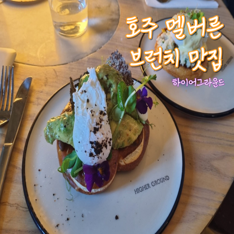 하이어그라운드 이미지