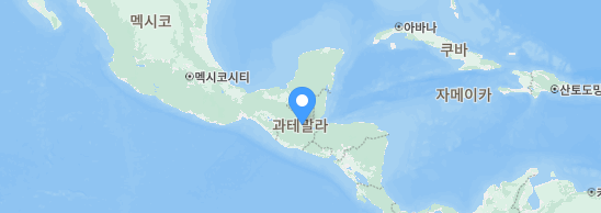 비자인행정사사무소 이미지