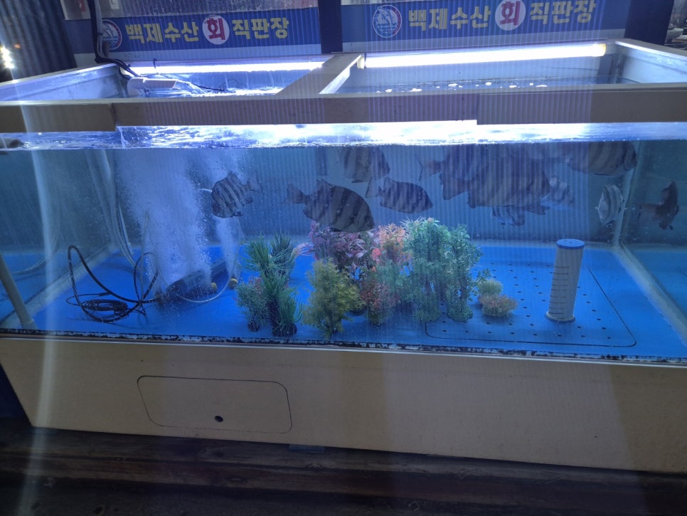백제수산 이미지