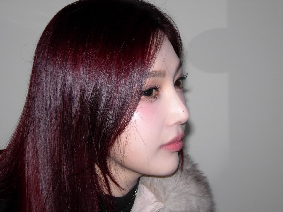 조이트리 이미지