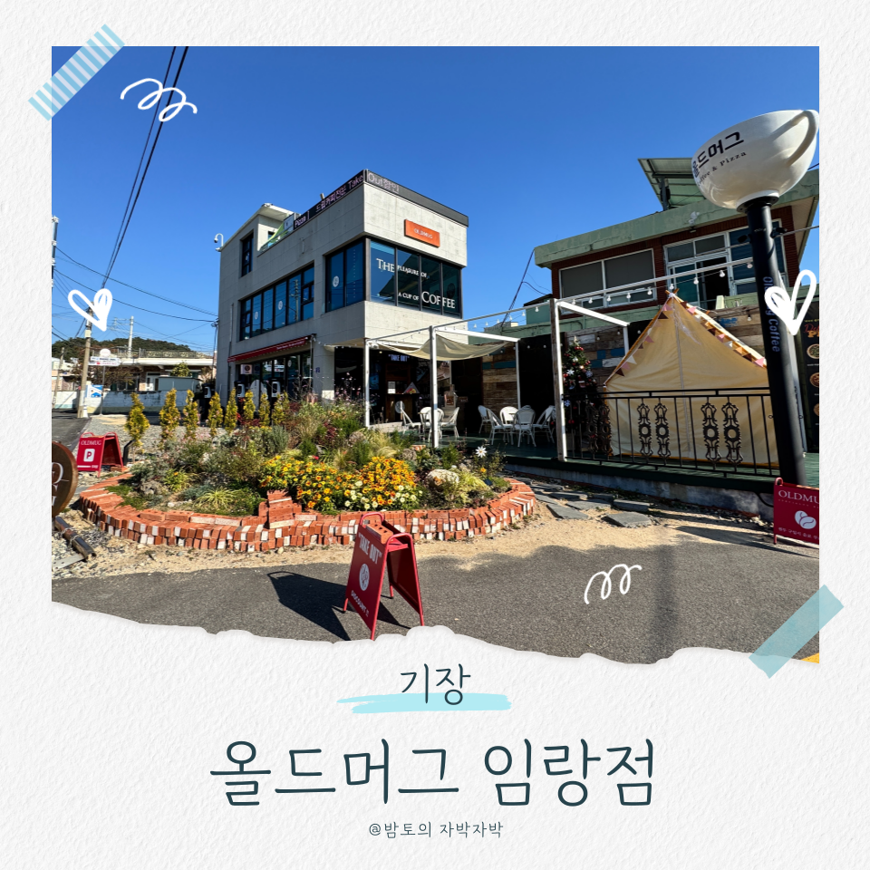 올드머그 임랑점 이미지