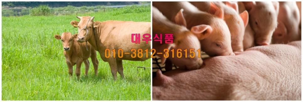 축산물도소매 이미지