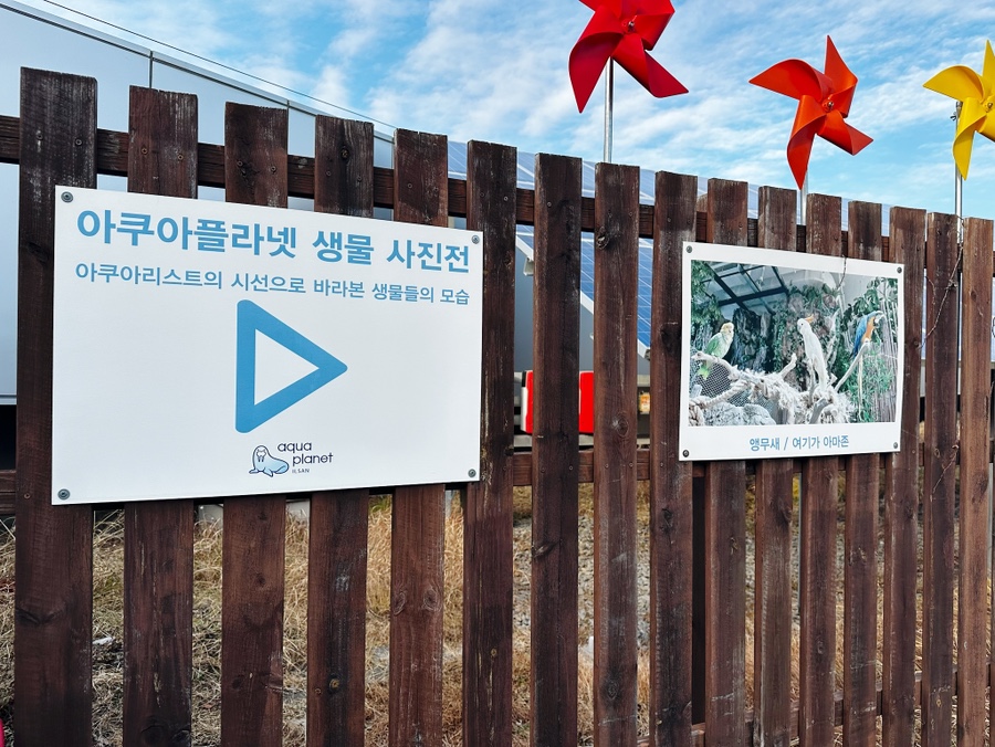 여기가명당 이미지