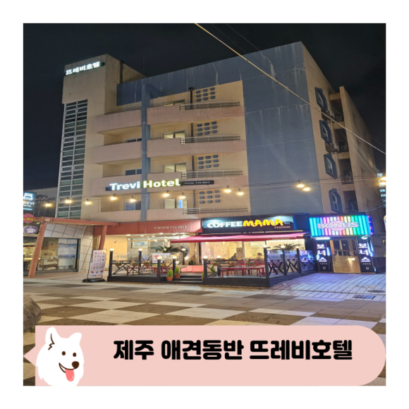 뜨레비호텔 이미지