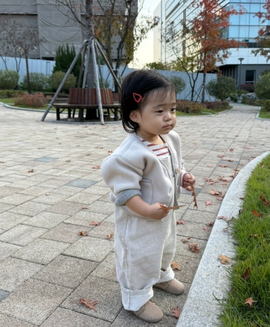 아베끄몽 이미지