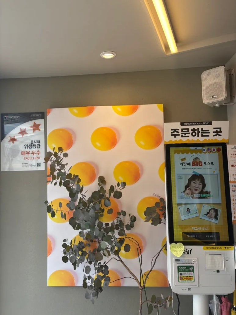 테그42보성점 이미지