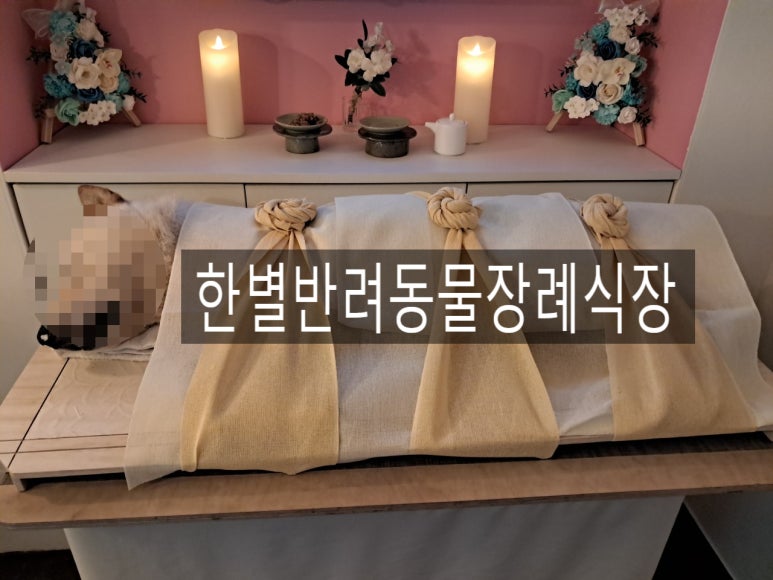 예와정성 이미지
