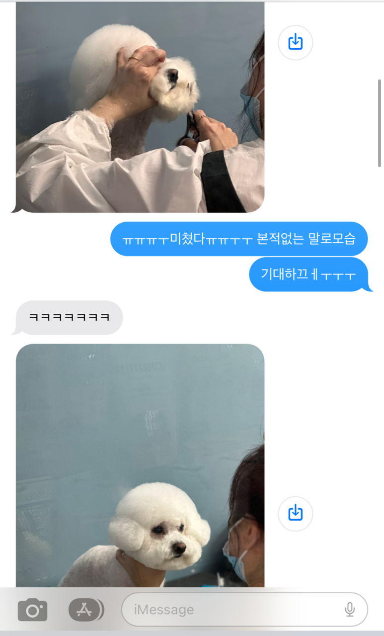 멜로쏘 이미지