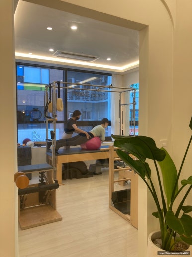자이로토닉에코 이미지
