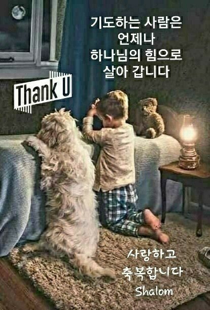 잭슨빌 이미지