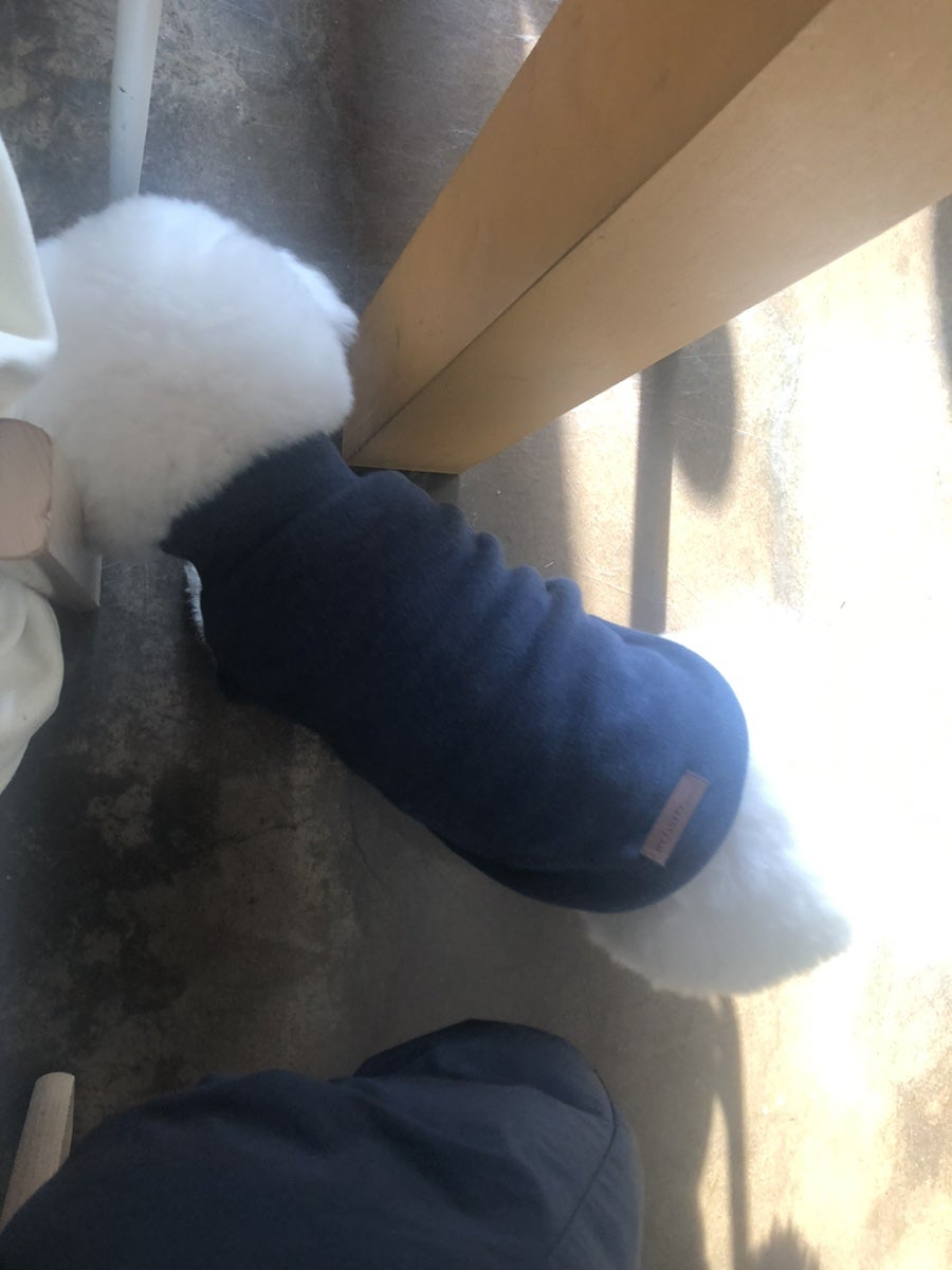 카페썸머 이미지