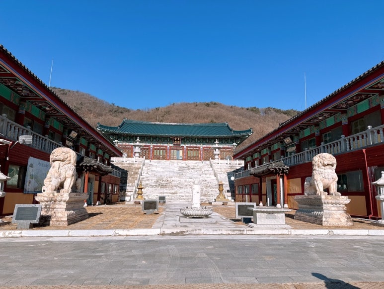 육지장사 이미지