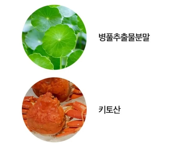 메가플러스 이미지