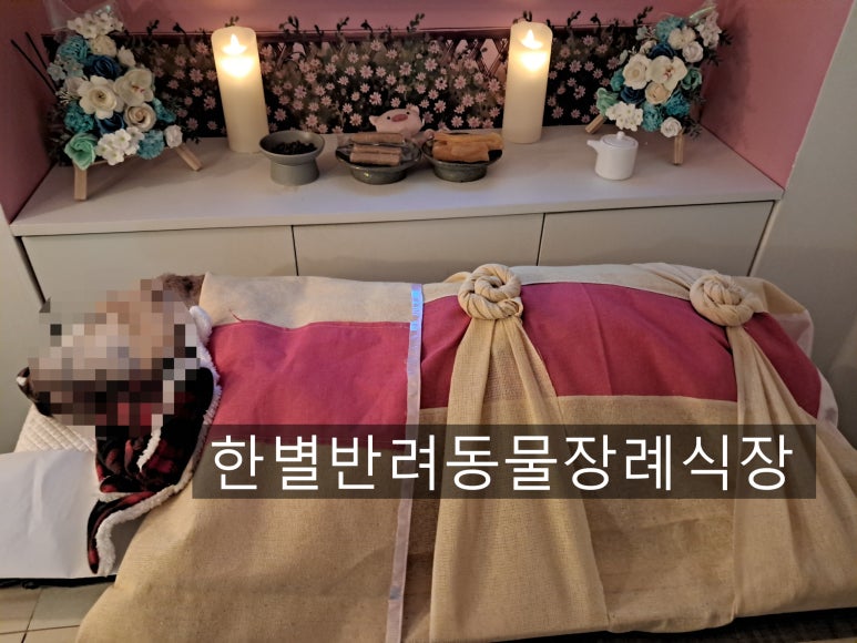 예와정성 이미지