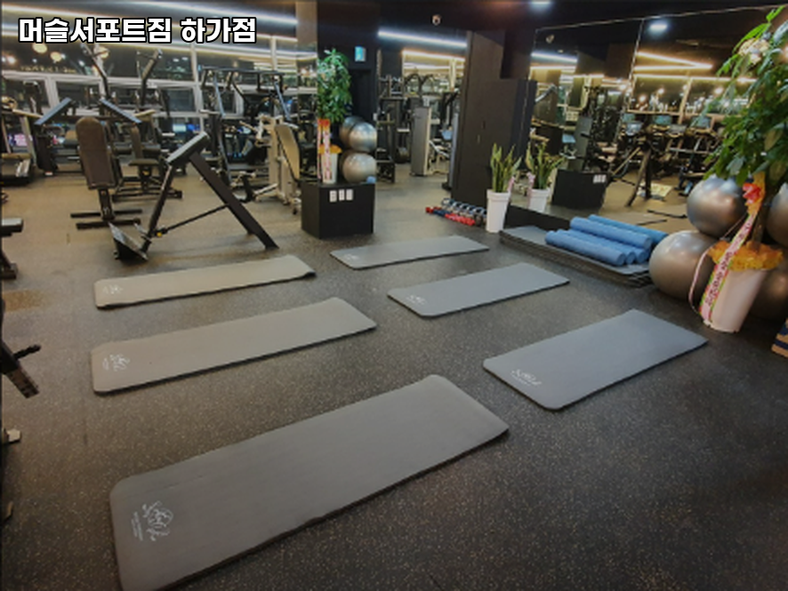 머슬서포트짐 이미지