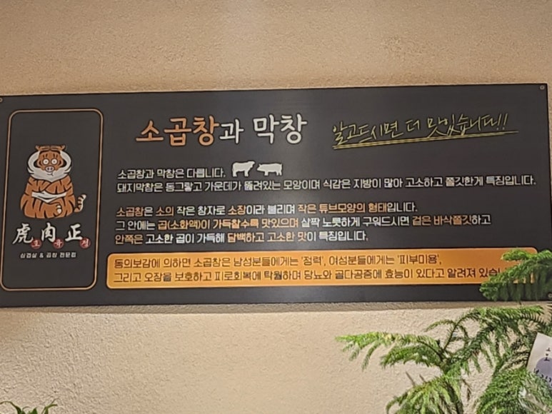 호육정 이미지