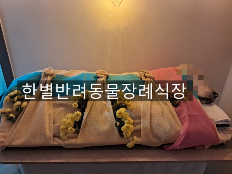 예와정성 이미지