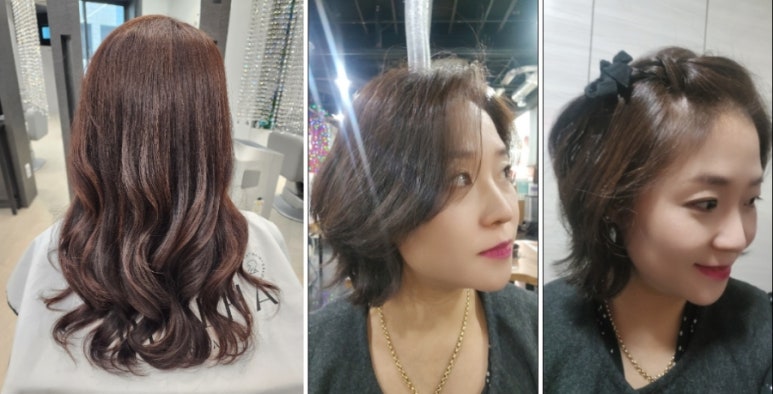 레브하헤어 이미지