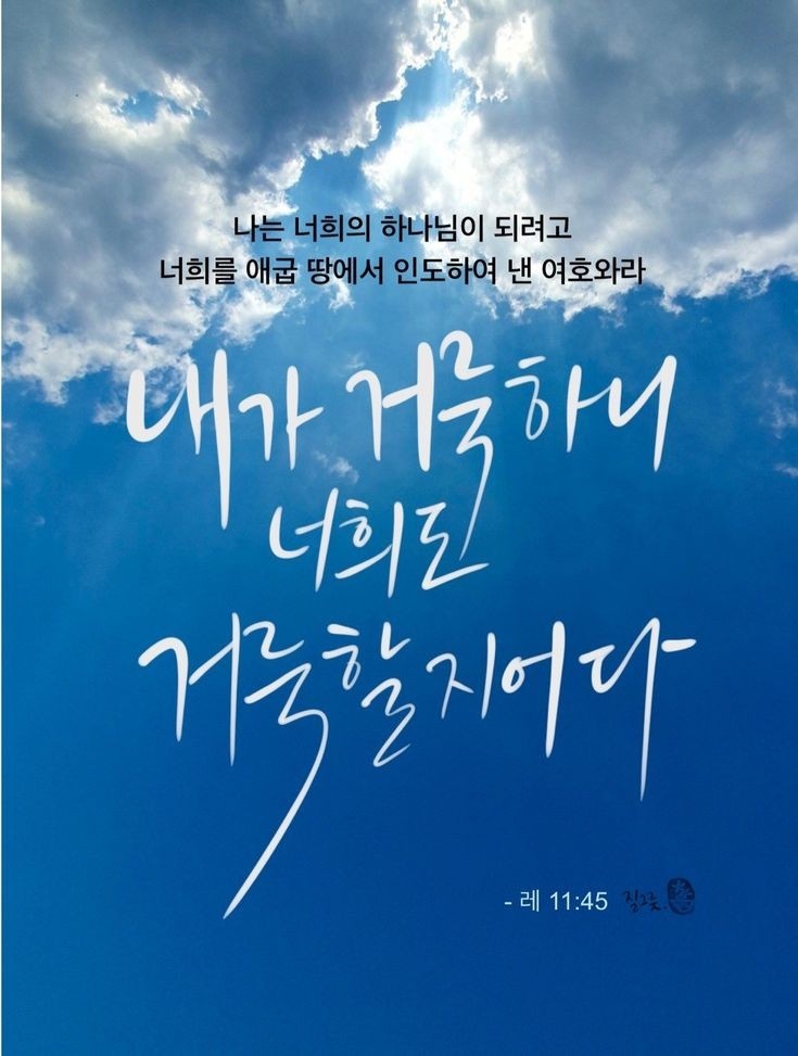 금송아지 이미지