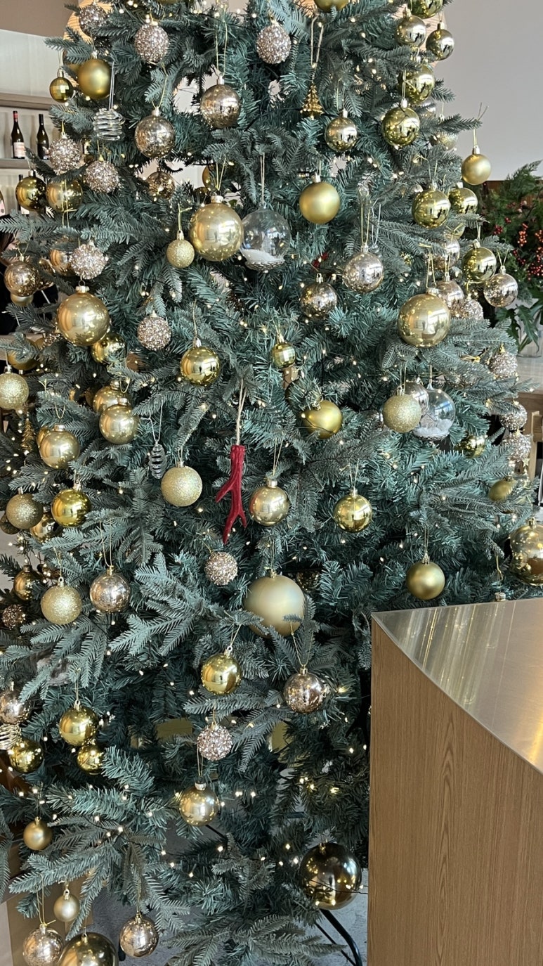 (주)캐치투어 이미지
