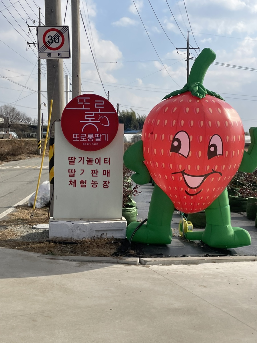 또로롱딸기농장 이미지