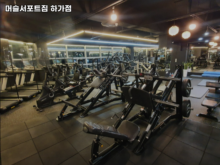 머슬서포트짐 이미지