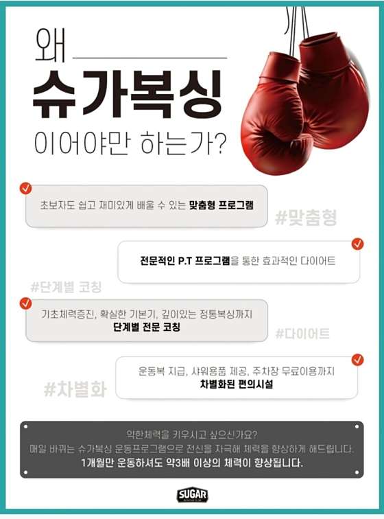 슈가복싱 이미지
