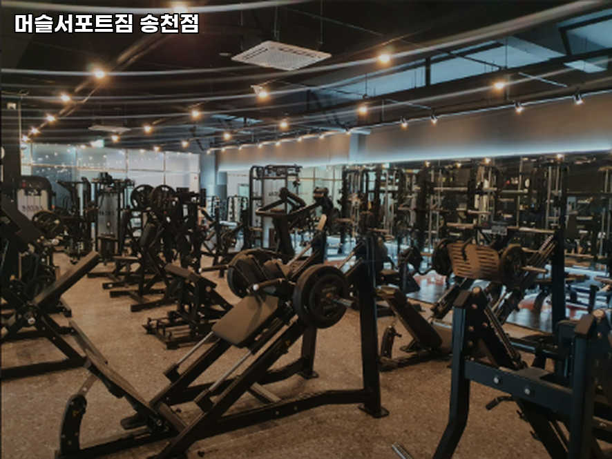 머슬서포트짐 이미지