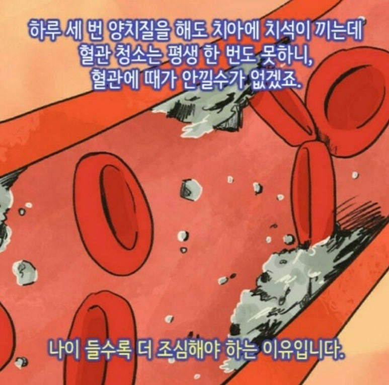 에버웰 이미지