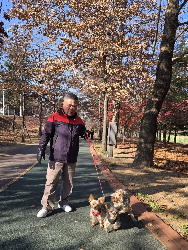 시골쥐식탁 이미지