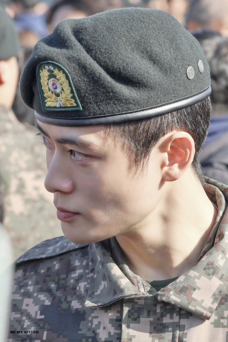 더월 이미지