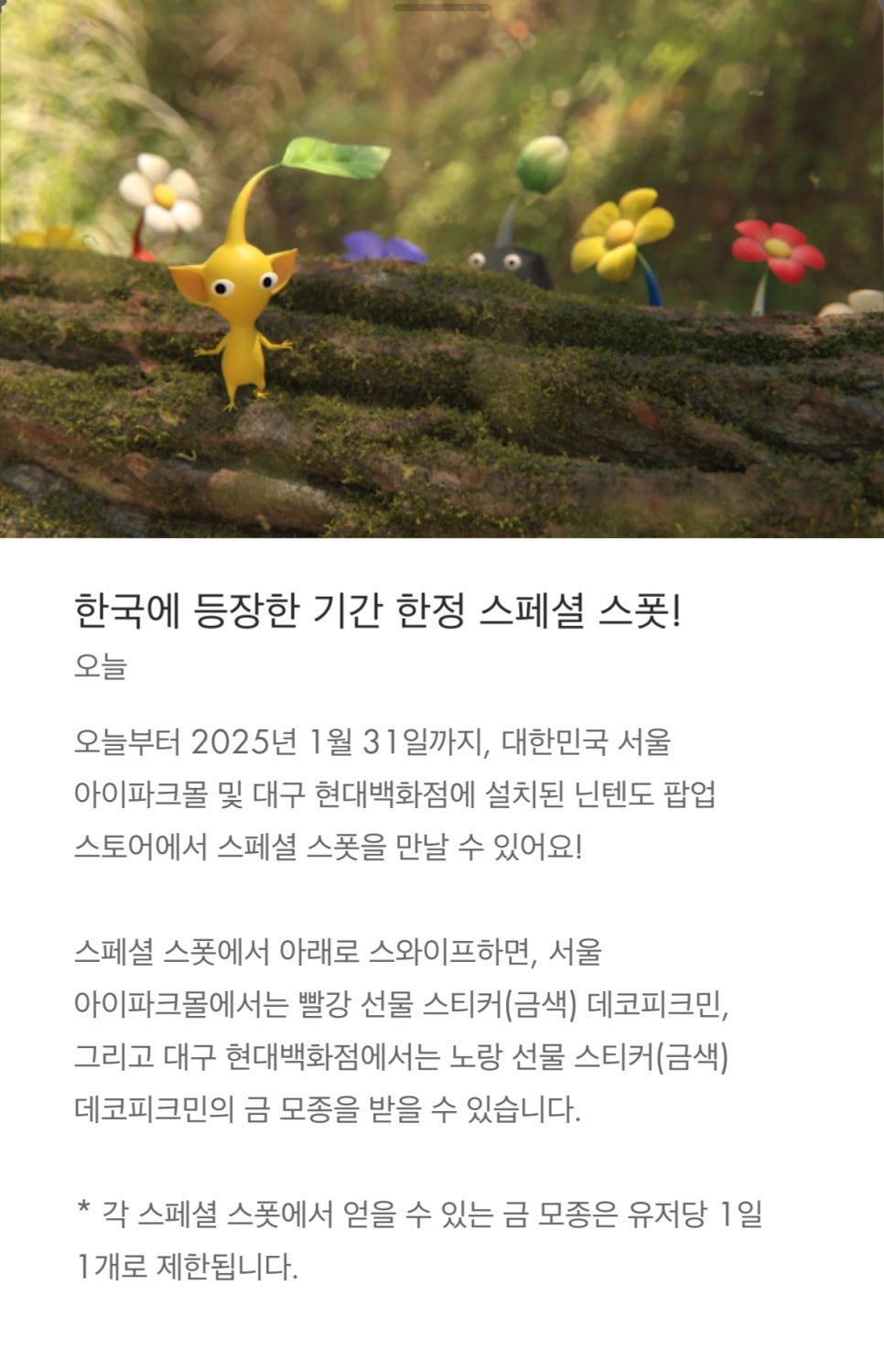 더금샵 이미지