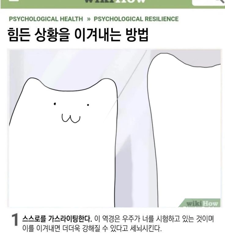 토탈디티 이미지