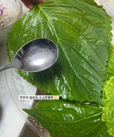 명수산 이미지
