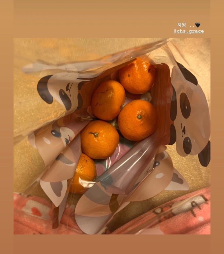 정스수정 이미지