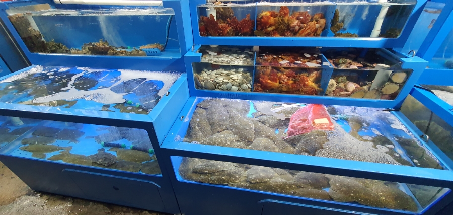 바닷가회먹거리세상 이미지