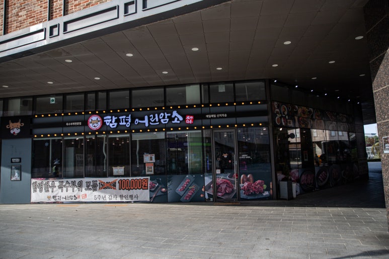 함평어린암소 이미지