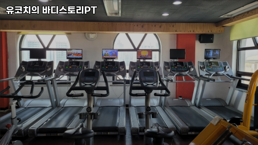 유코치의바디스토리PT 이미지