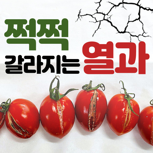 무지개농약사 이미지
