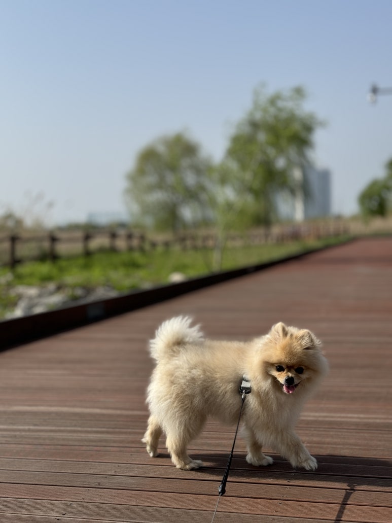 경희포레온한의원 이미지