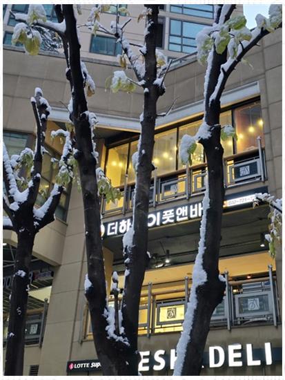 오아시스바디 이미지