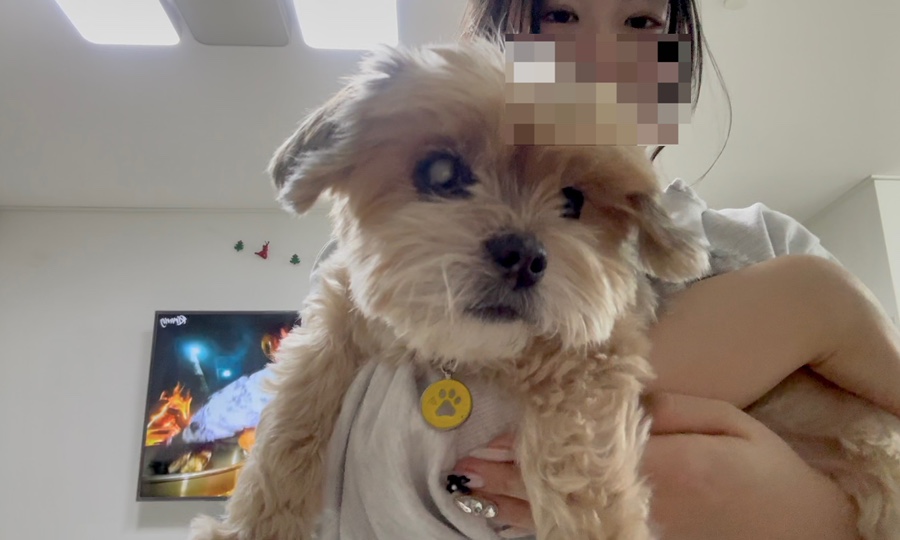오장칠부 이미지