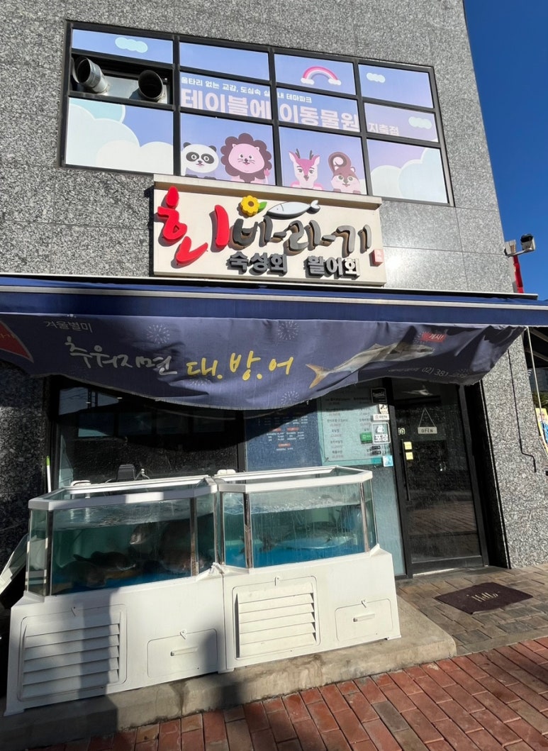 회바라기 이미지