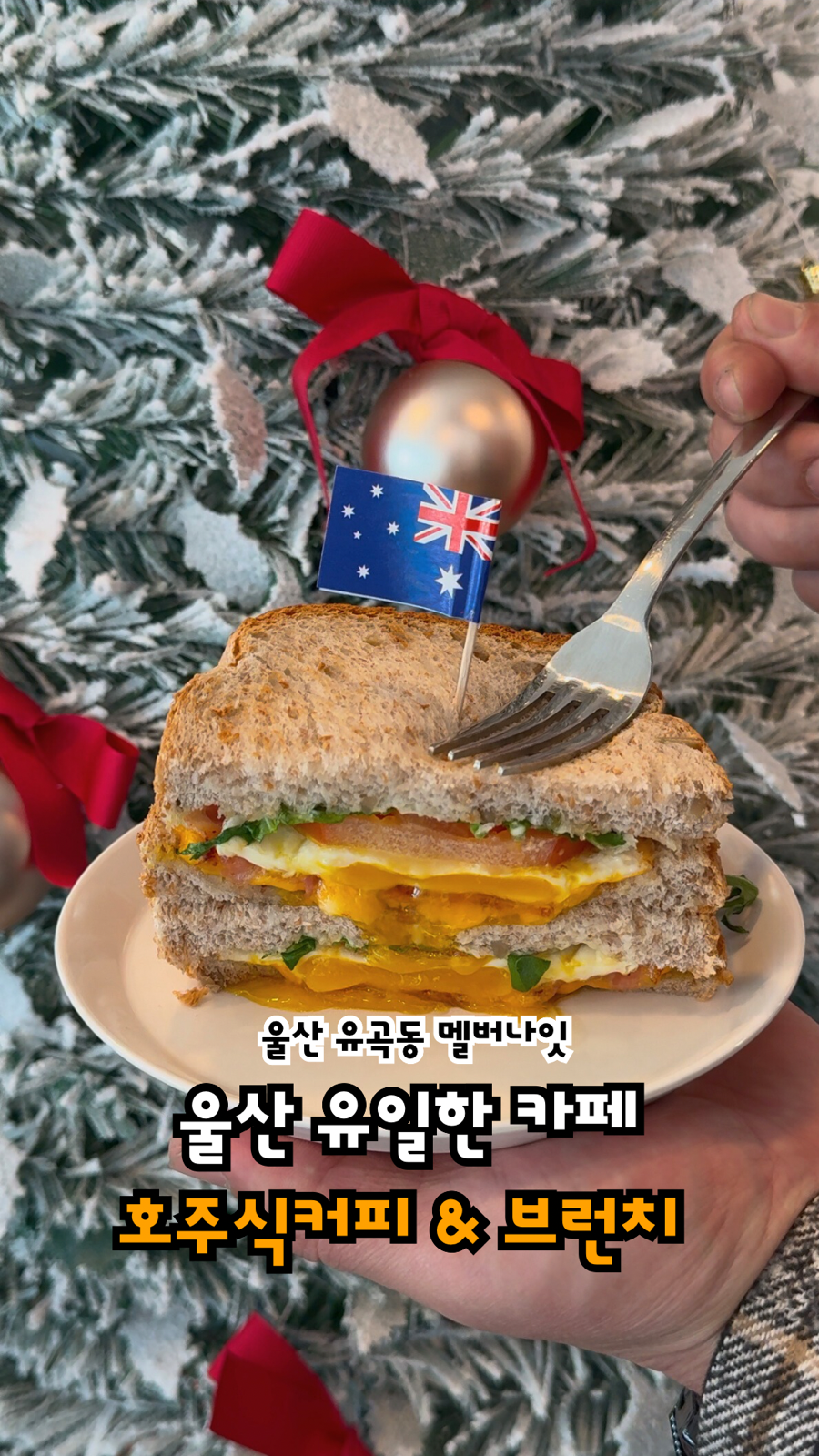 멜버나잇 이미지