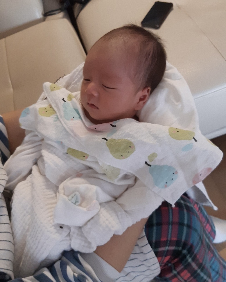 금줄베이비시터코리아 이미지