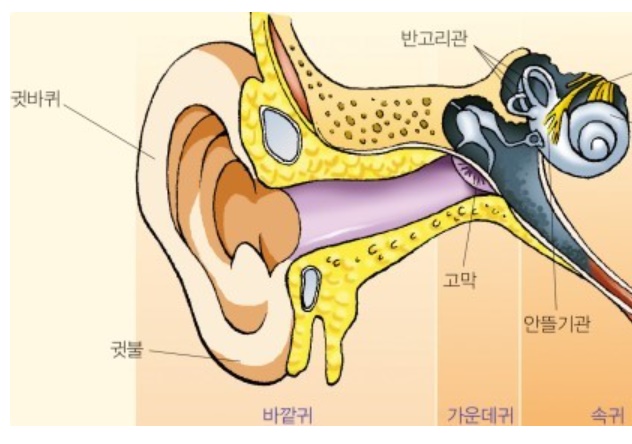 마노성형외과의원 이미지