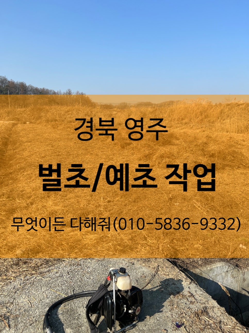 무엇이든다해줘 이미지