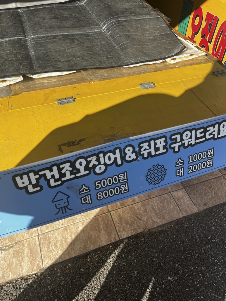 경포배오징어 이미지